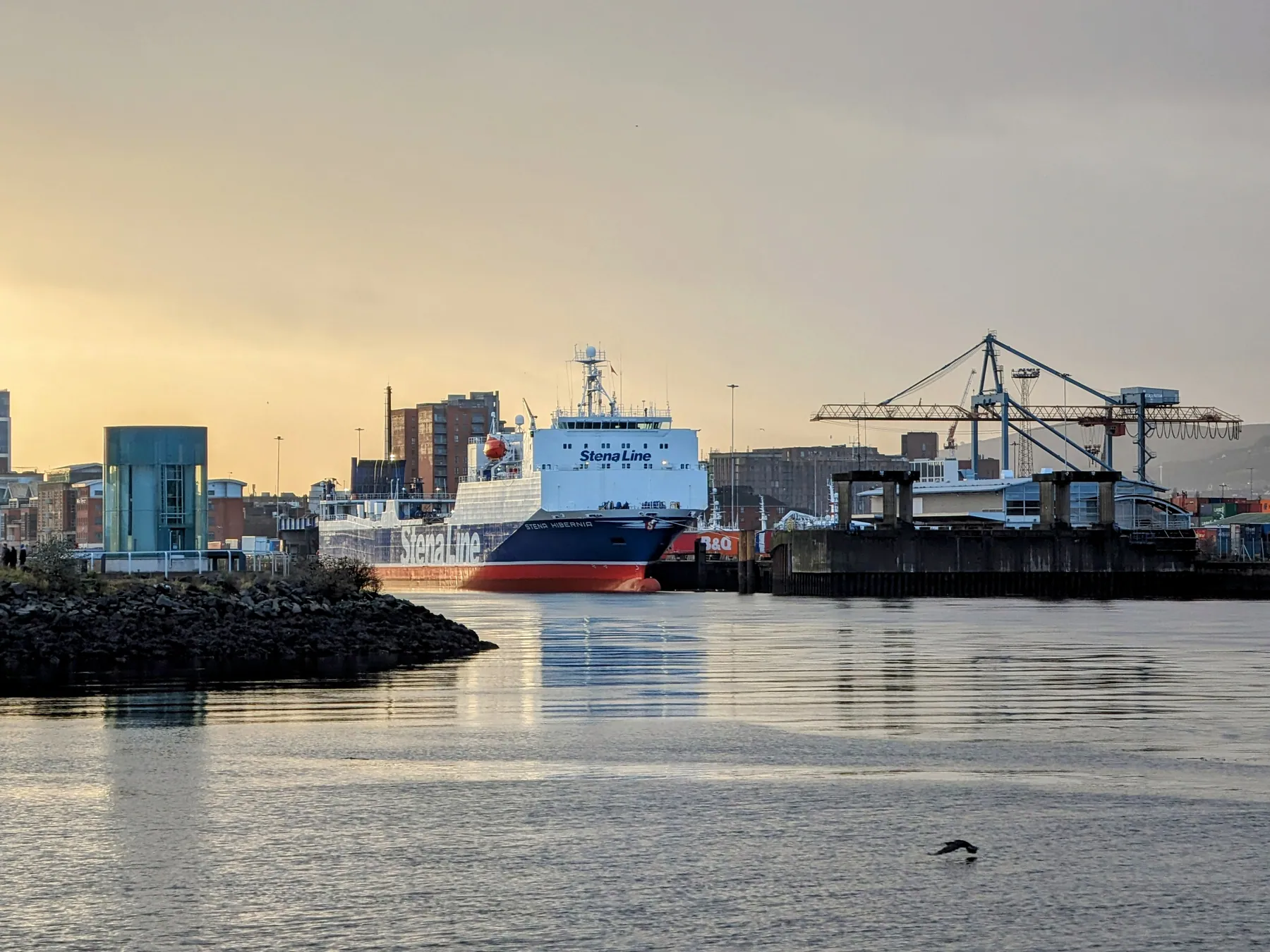 A Stena Line ferry and cranes at Belfast Harbour in evening light.