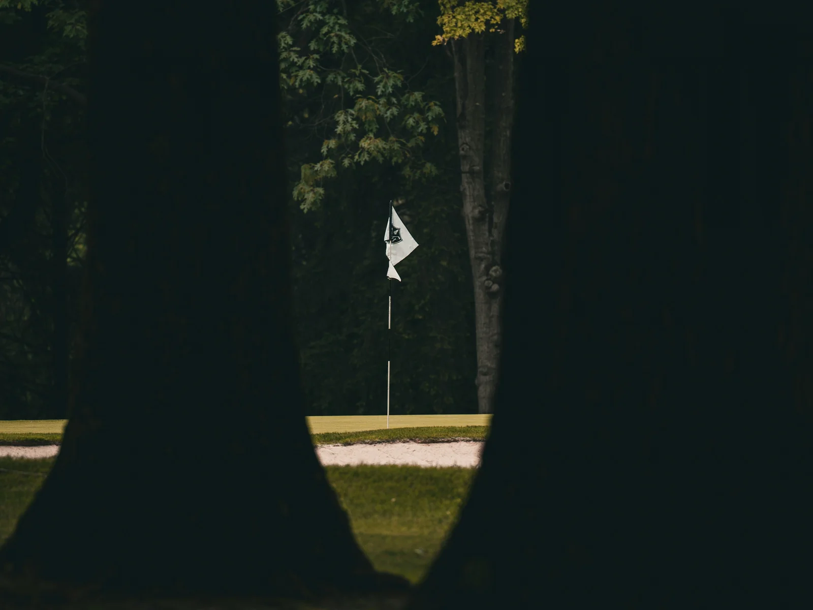 Golf flag through the trees