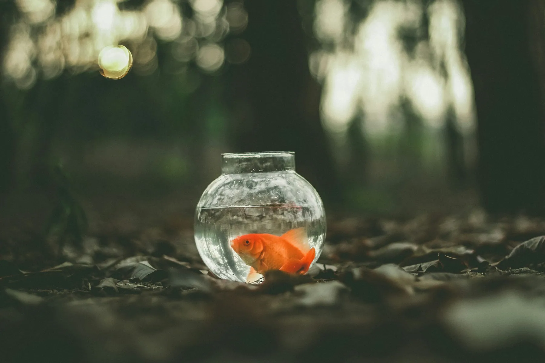 Why bespoke websites feel different from polished templates